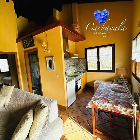 Apartamentos Rurales La Carbayala Oviñana المظهر الخارجي الصورة