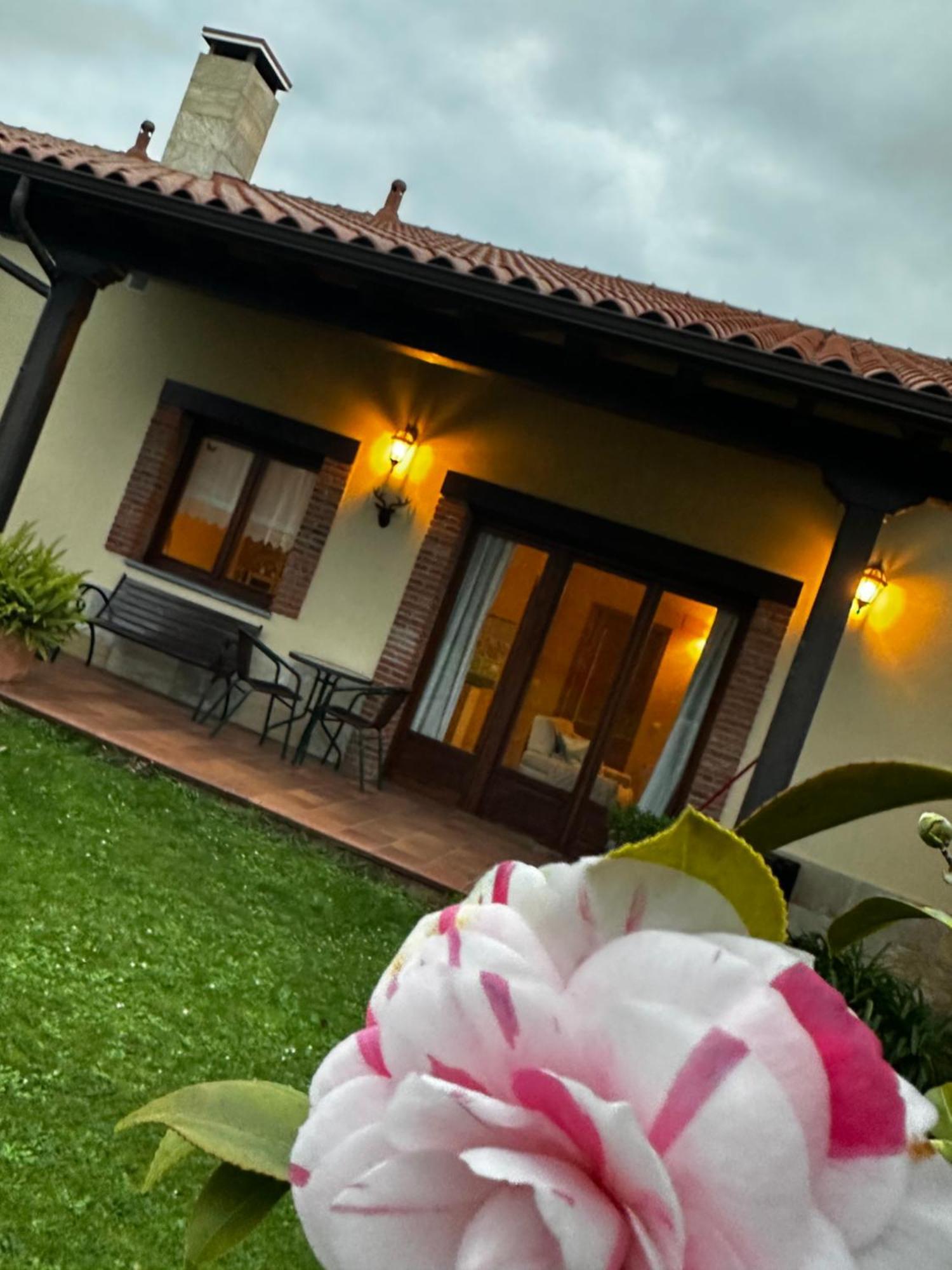 Apartamentos Rurales La Carbayala Oviñana المظهر الخارجي الصورة