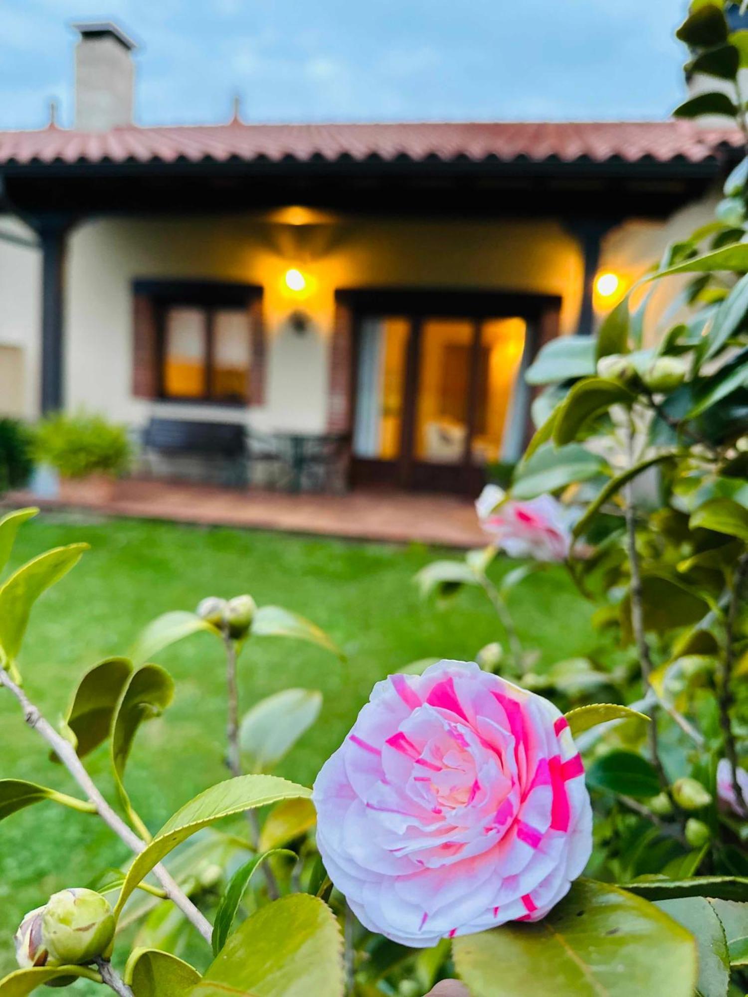Apartamentos Rurales La Carbayala Oviñana المظهر الخارجي الصورة